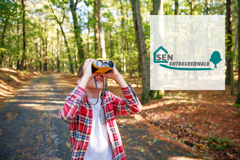 Entdeckerwald
