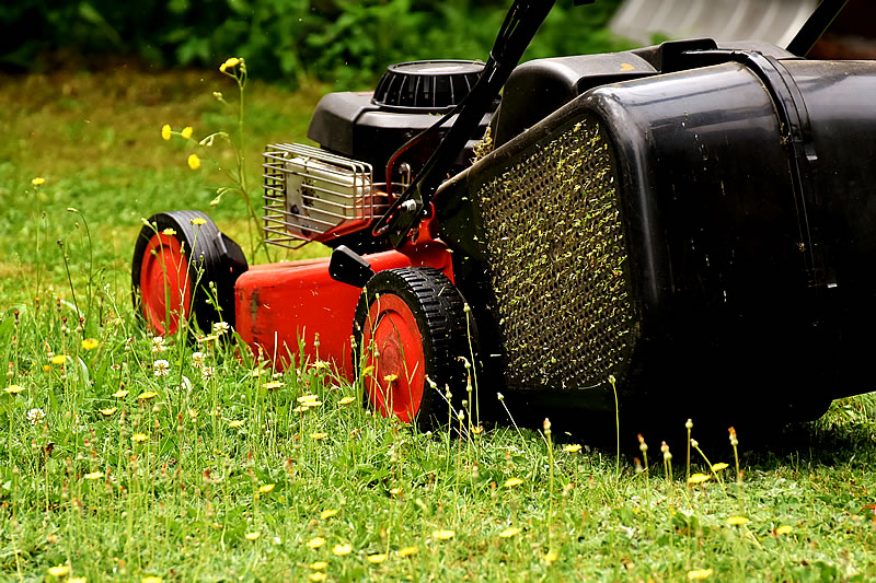 Rasen mähen